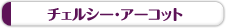 �`�F���V�[��A�[�R�b�g